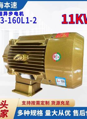 YE3三相异步马达YE3-160L1-211W千瓦2极调速三相异步马达电机