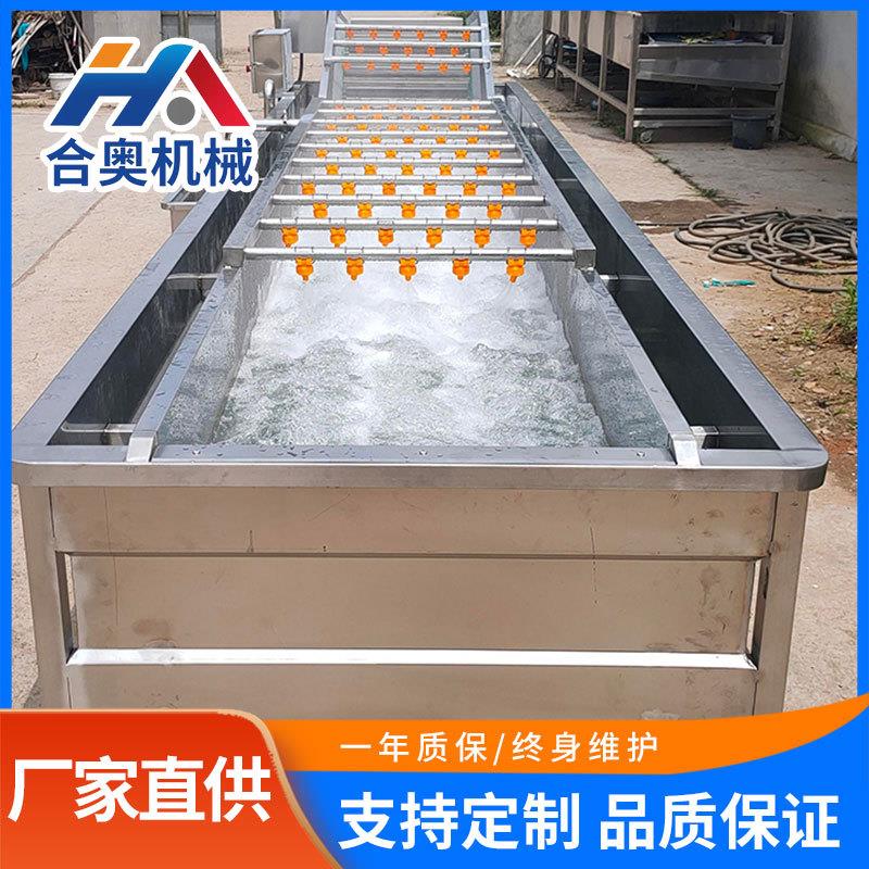 去除农药残留蔬菜气泡清洗机全自动洗菜机竹笋去杂鼓泡喷淋流水线