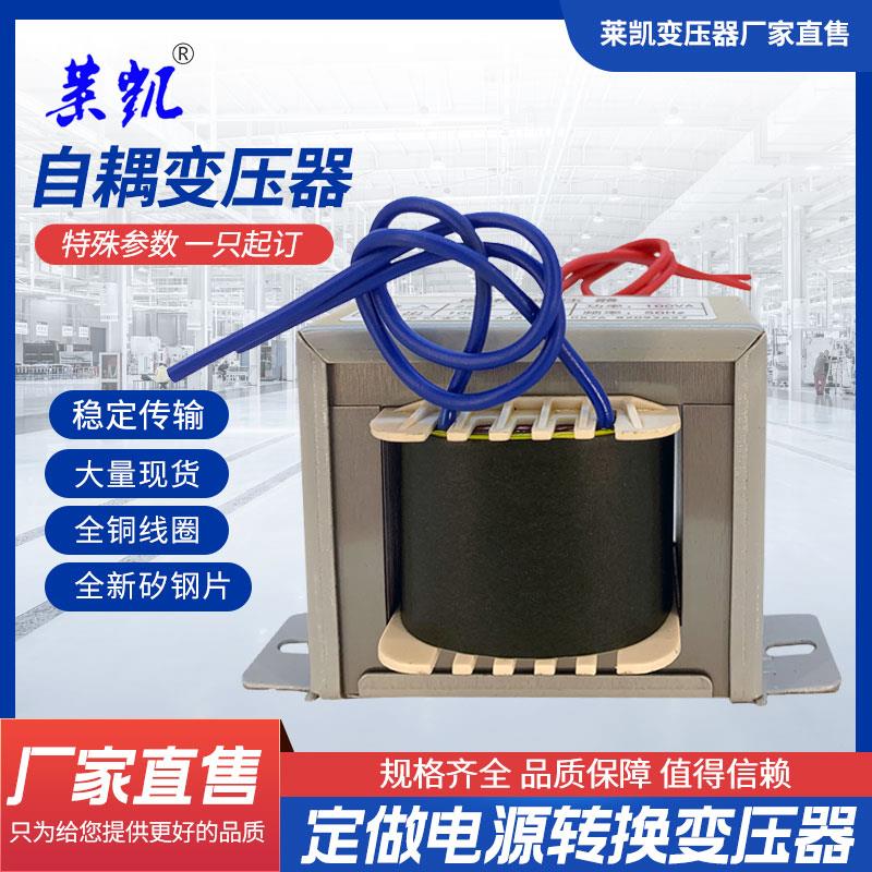 定做自耦电源变压器220V转110V/100V380转220V/110V进口电器转换