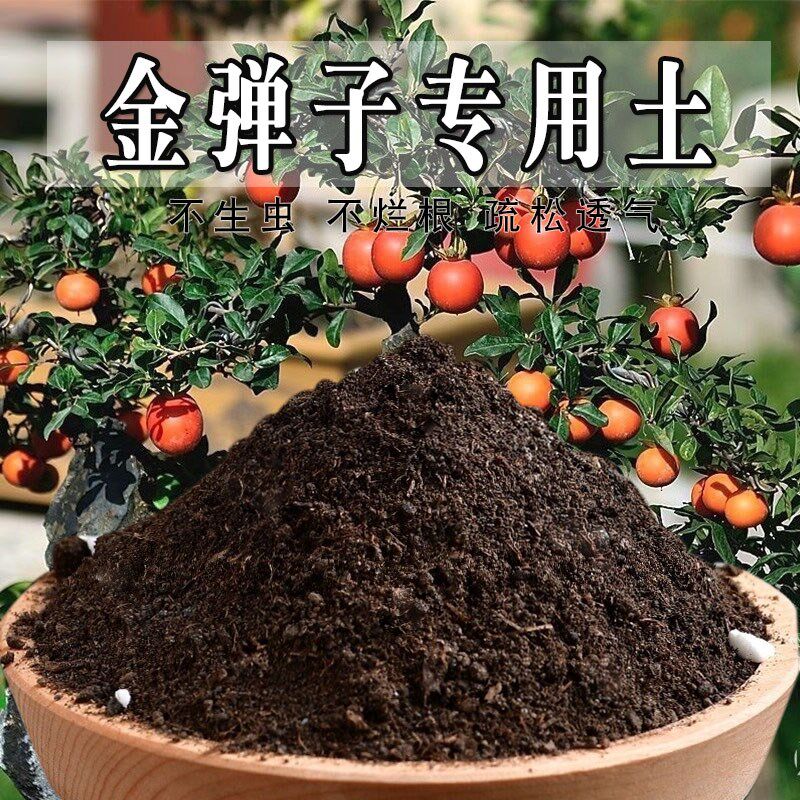 金弹子专用土绿植物透气金弹子专用营养土养花家庭通用型疏松花卉