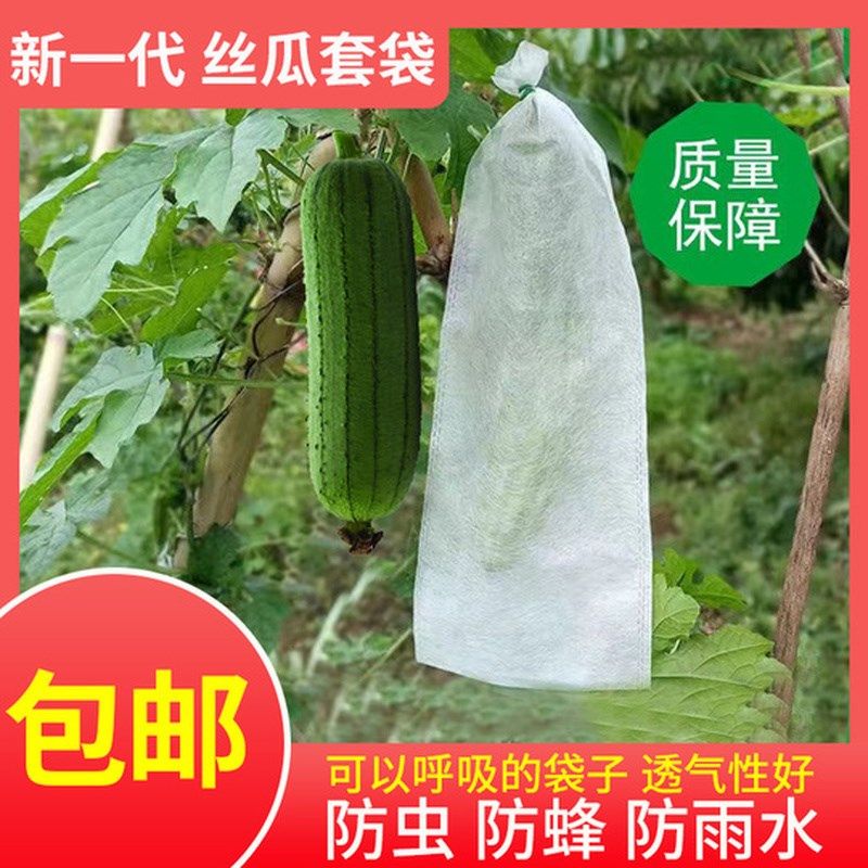 丝瓜防虫袋防鸟果袋苦瓜青瓜黄瓜保护套袋无纺布套袋育果专用袋子