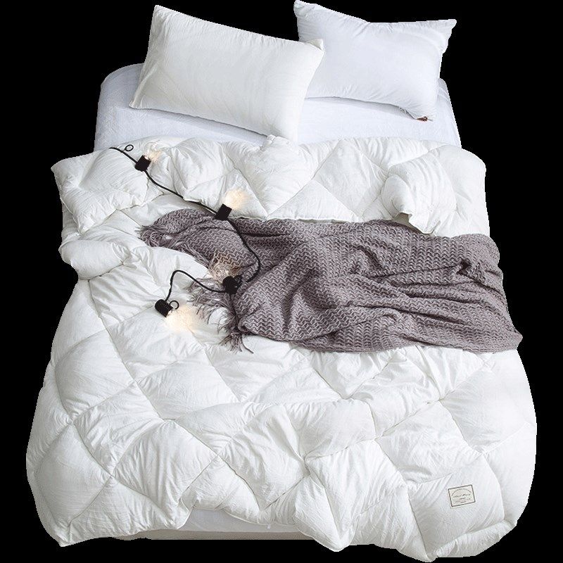 春秋被子太空被芯空调被保暖单双人学生宿舍保暖被褥子棉被加厚冬