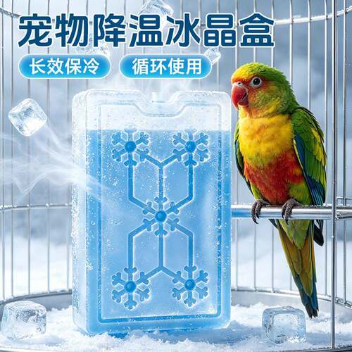 冰盒宠物降温冰晶盒商用摆摊食品保鲜空调扇专用药品冰砖环保冰冰