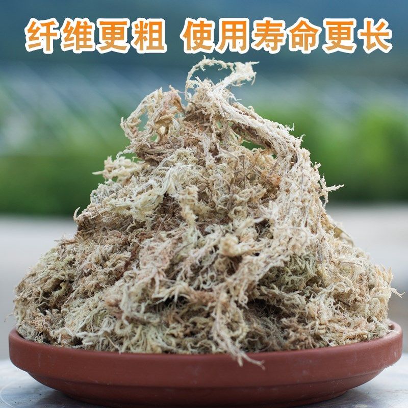 蝴蝶兰花专用白水苔营养土爬虫铺垫干水苔兰花无土栽培介质花土