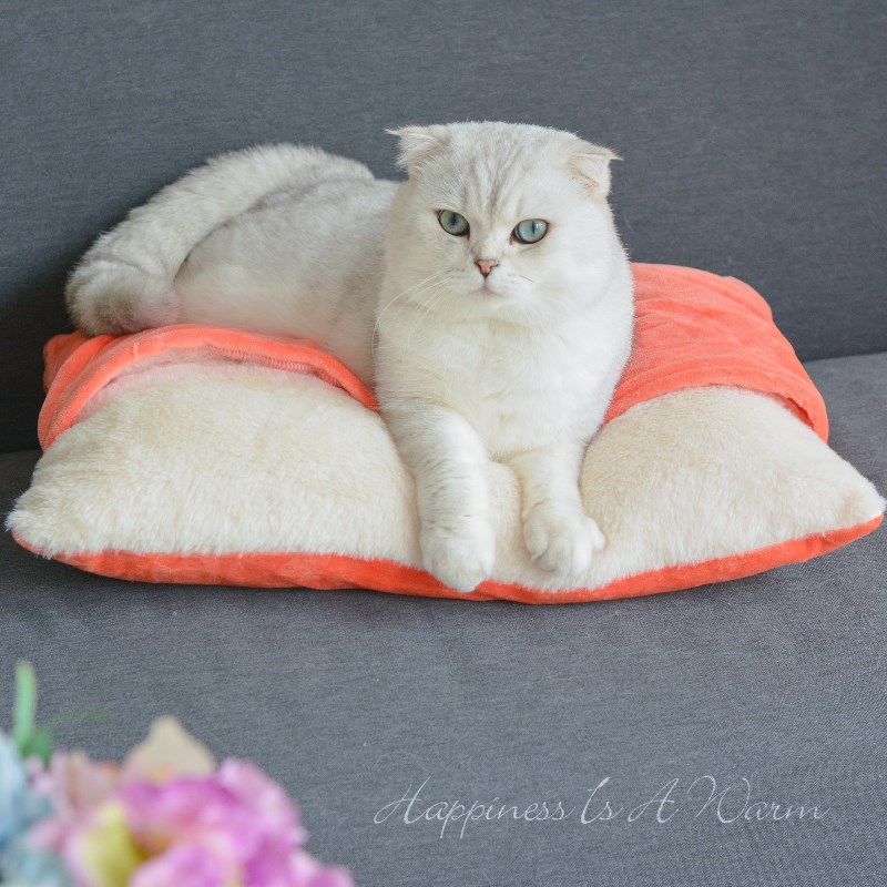 猫窝冬季可拆洗猫床小型犬狗窝保暖加厚睡袋猫睡觉窝四季宠物垫子