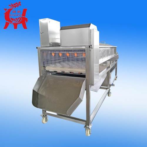 供应土豆红薯大姜毛辊清洗去皮机红薯土豆去皮机毛刷清洗设备