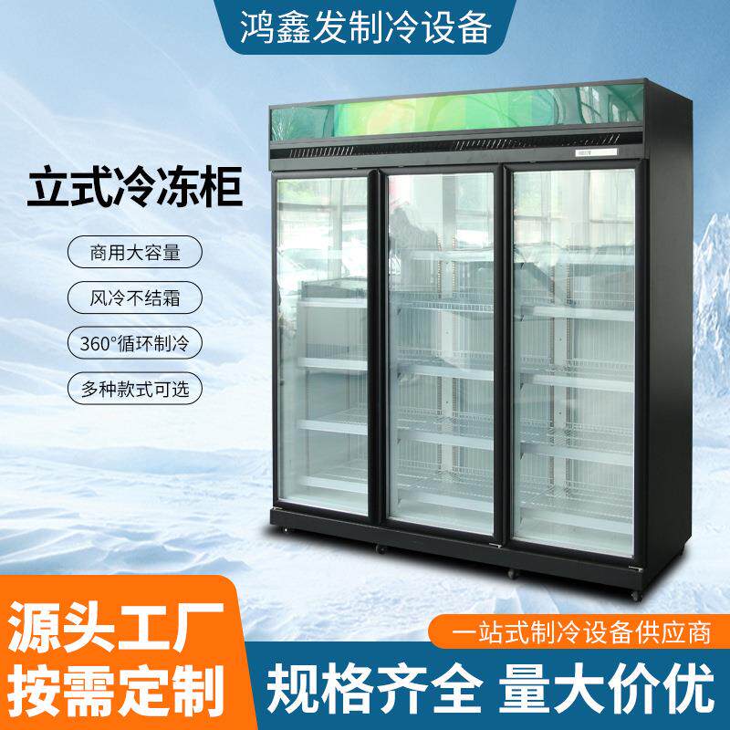 立式冷冻柜海鲜柜冰柜冷冻单门多门风冷无霜冷冻雪糕柜冰淇淋冷柜