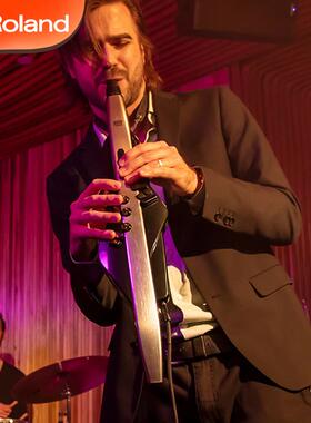 罗兰电吹管AE20电子黑管乐器AE-20W电萨克斯笛子老年人初学者AE30