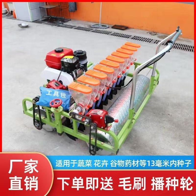 六行汽油精播机厂家 小粒种子免间苗种菜机 自走式蔬菜育苗点播机