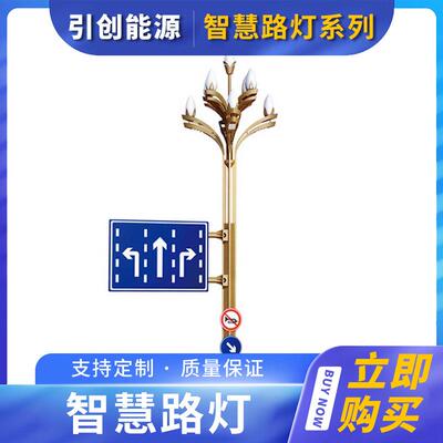 定制环境监测一体化智慧灯杆手机充电路灯道路指示广告牌玉兰灯