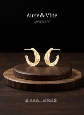 5189【麻花C】纯银针S925爆款港风几何百搭通勤高质感耳圈