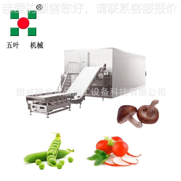 全自动LSD流态化速冻机 1000g/h 结冻草莓等水果生产k线