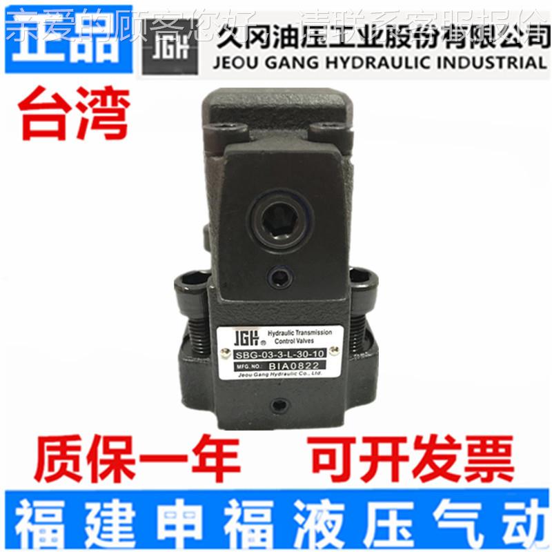 JGH溢阀SSBG-06-3BG  BSG DBDSBW DBK ER - G03 流G06 G10-3 L R