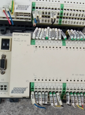 议价RT13X欧辰RT133-1BL02-DP欧辰PLC 拆机品
