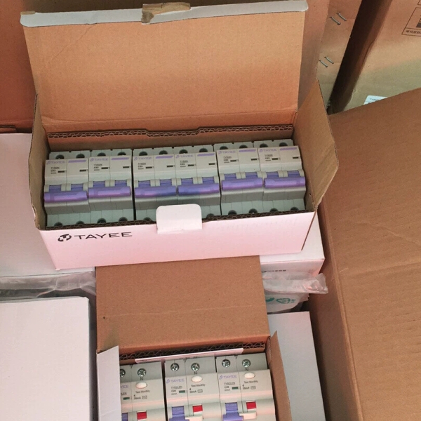 天逸1P20A断路器TYB2LEB 1P+N 20A全新上海