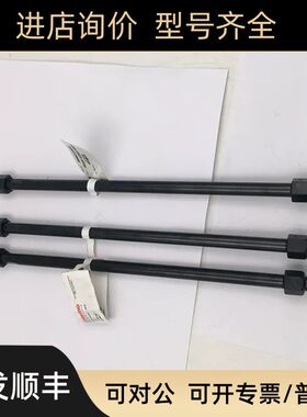 Thermo戴安AS19 062885 CS16-4UL 088584)阴离子色谱柱 079805