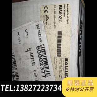 626 A01 ST31 069 巴鲁夫BIS