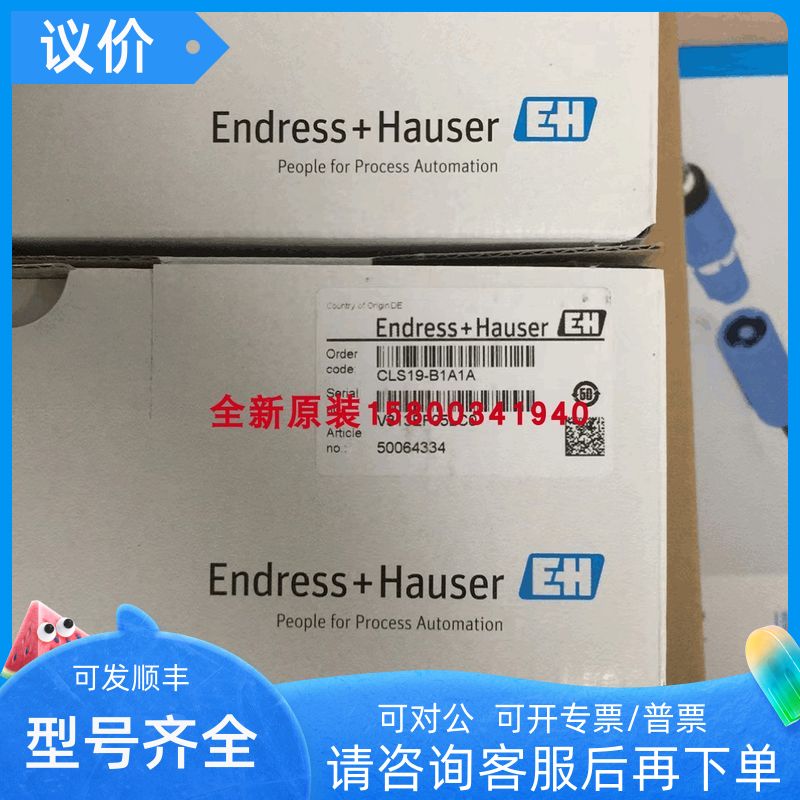 E+H电导率电极CLS19-B1A1A CLS19-A1A1A 探头CLS15 CLS21