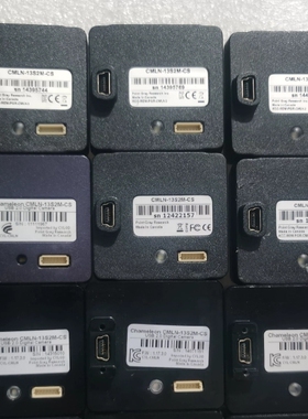 议价 POINT GREY 灰点 CMLN-13S2M-CS