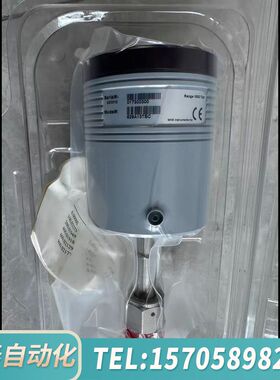 华泰MKS真空压力计629A13TBC，测量范围1000 Tor