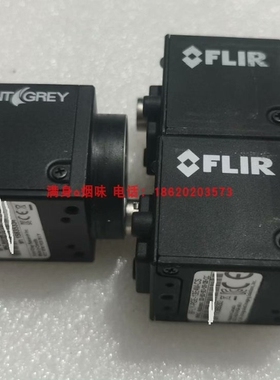 议价Piont grey 灰点 BFLY-PGE-13E4M-C