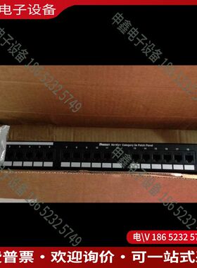 议价：Puit泛达 NetKey NK5EPPG24Y 24