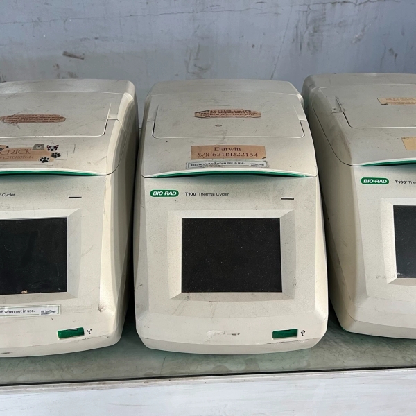 美国 Biorad 伯乐 T100型梯度  热循环仪Bio-