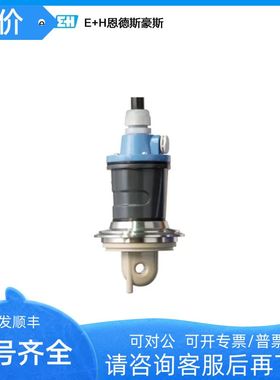 E+H电导率电极CLS54-ACS1022 CLS50D-AA3B21 CLS21-C1N2A环形