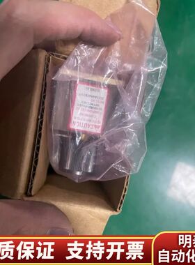 布鲁克斯流量计，型号2520A4A47BVVT，10-100.询价