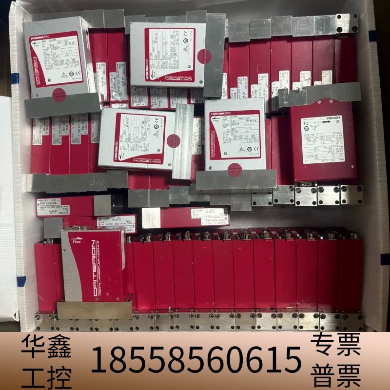 HORIBA堀场D519MG流量计，3000SCCM,300.议价