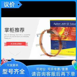 气相色谱柱50 0.32 Al2O3 PLOT M15安捷伦 19091P