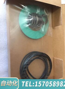 华泰DP PUMP VF10 SEALKIT GARNITU