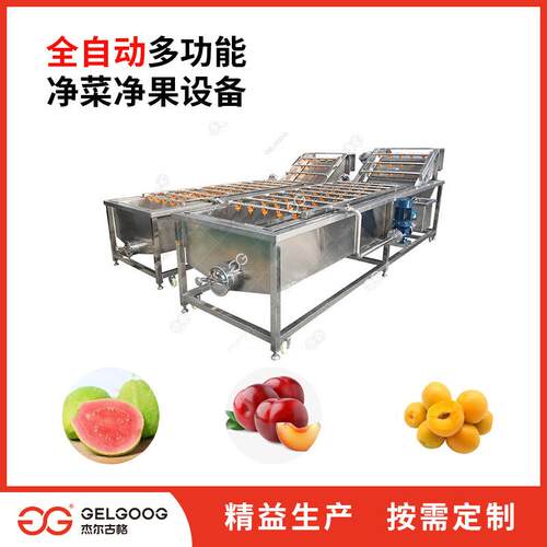 果清洗分级风干PRD设备水 水果自动清洗洗果清生产化线 黄杏子洗
