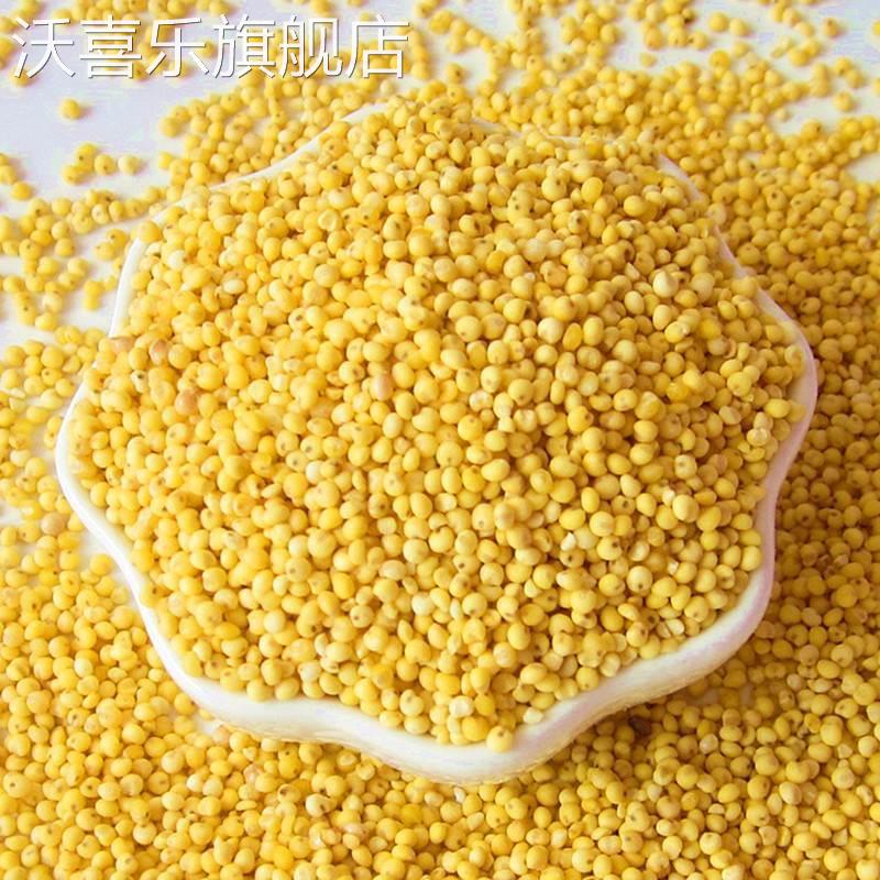 大黄米新米2024年正宗纯黏粘糯小米5斤PK东北山西包粽子特级黍子
