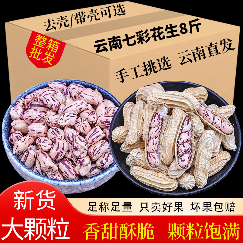 2025新货云南七彩花生带壳晒干生彩色水果花生七彩花生米商用批发