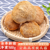 云南猴头菇干货500g煲汤炖汤火锅食材年货特产山珍菌菇餐饮批发