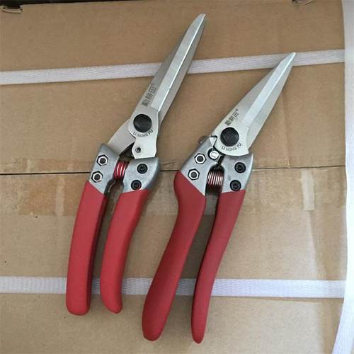 勤耕田重型修枝剪长款直刃剪刀果树剪刀园林园艺剪子花木修剪工具