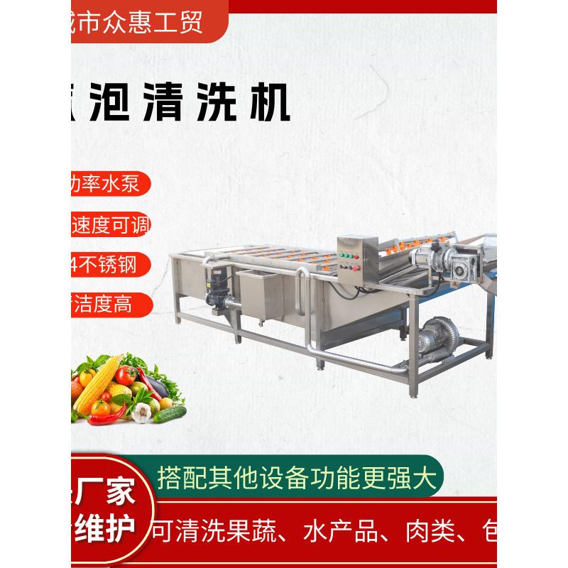 气泡清洗机 蔬菜水果清洗机 净菜加工设备 包装袋清洗烘干机