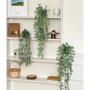 彷真绿色植物垂吊植物摆件创意客厅墙上桌面家居装饰品房间改造小
