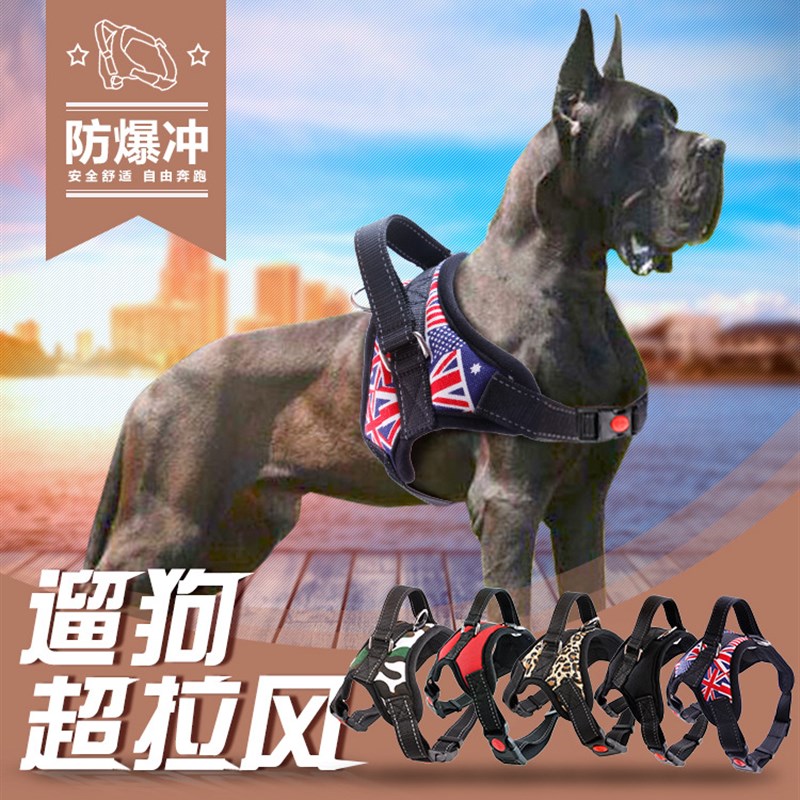 狗狗新款比特杜高卡斯罗恶霸中大型犬防水材Q质牵引绳猛犬遛狗绳