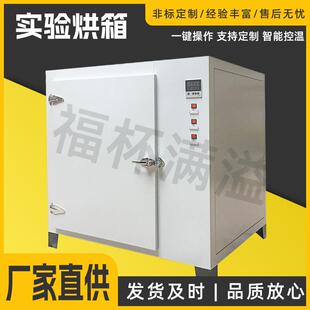 电热恒温干燥箱小型实验脱水烘干箱智能数显温控热风循环恒温箱