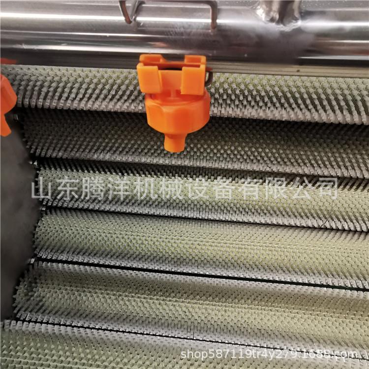 不锈钢扇贝海鲜清洗机鲫鱼去鳞清洗设备毛辊去皮机