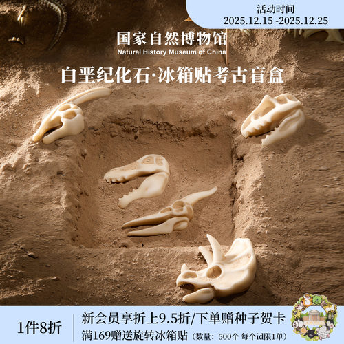 国自博白垩纪化石冰箱贴考古盲盒
