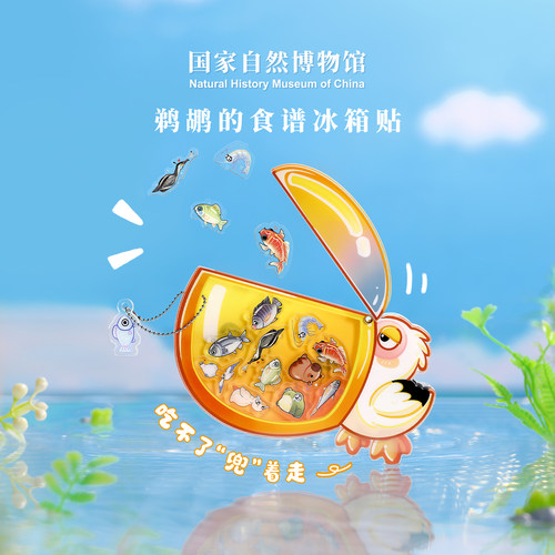 国自博鹈鹕的食谱亚克力冰箱