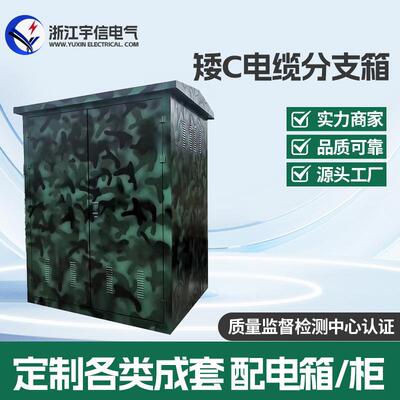 10KV电缆分支箱DFW-12/630A高压35KV分接箱铁壳/不锈钢多箱式