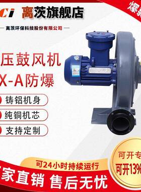 FX-A系列（BT4）防爆型中压鼓风机吹吸两用长期稳定运行