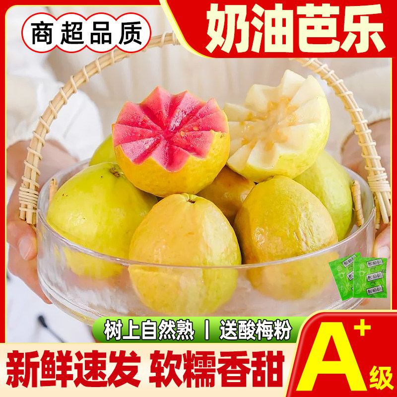 【新鲜速发】红白芭乐双拼奶油芭乐新鲜软糯香甜红心番石榴水果