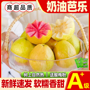 红白芭乐双拼奶油芭乐新鲜软糯香甜红心番石榴水果 新鲜速发