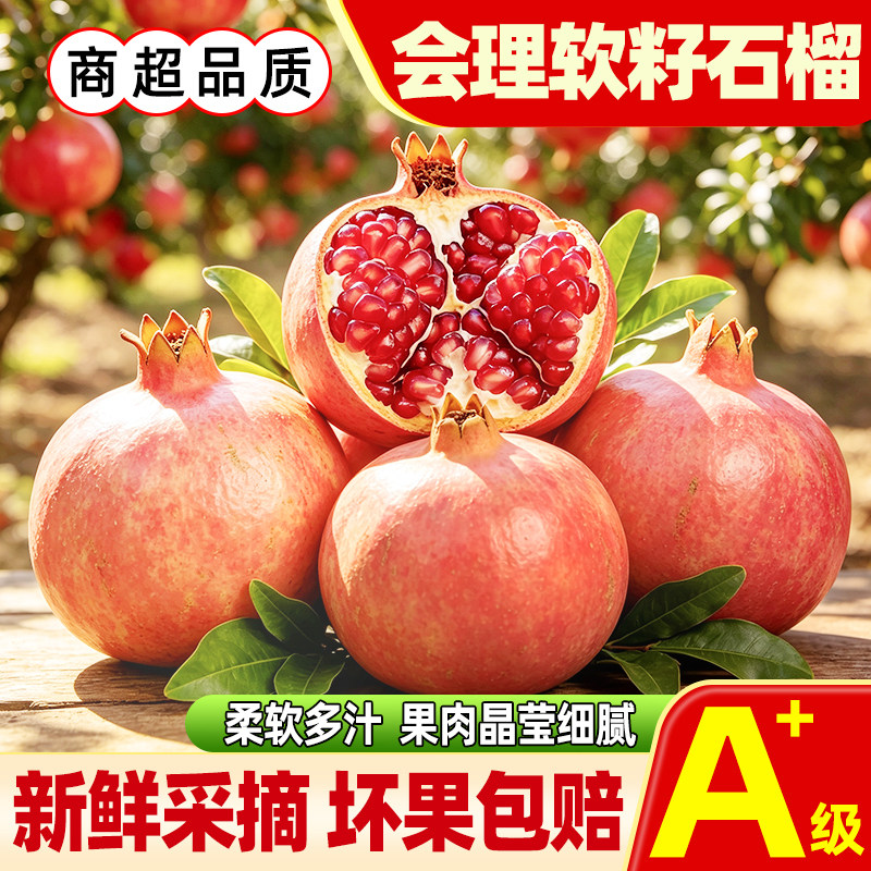 四川会理突尼斯软籽石榴