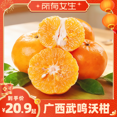 广西武鸣沃柑正宗现摘整箱包邮